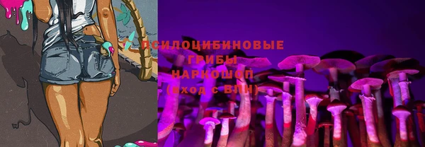 эйфоретик Абинск