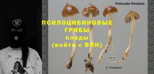эйфоретик Абинск