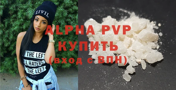 прущие грибы Абаза
