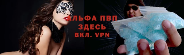 прущие грибы Абаза