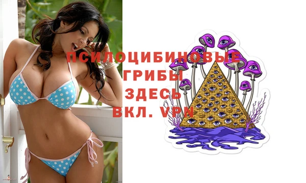 соль курить ск Алексеевка